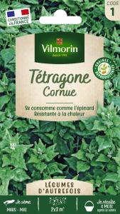 Tétragone Cornue - Légumes d'Autrefois